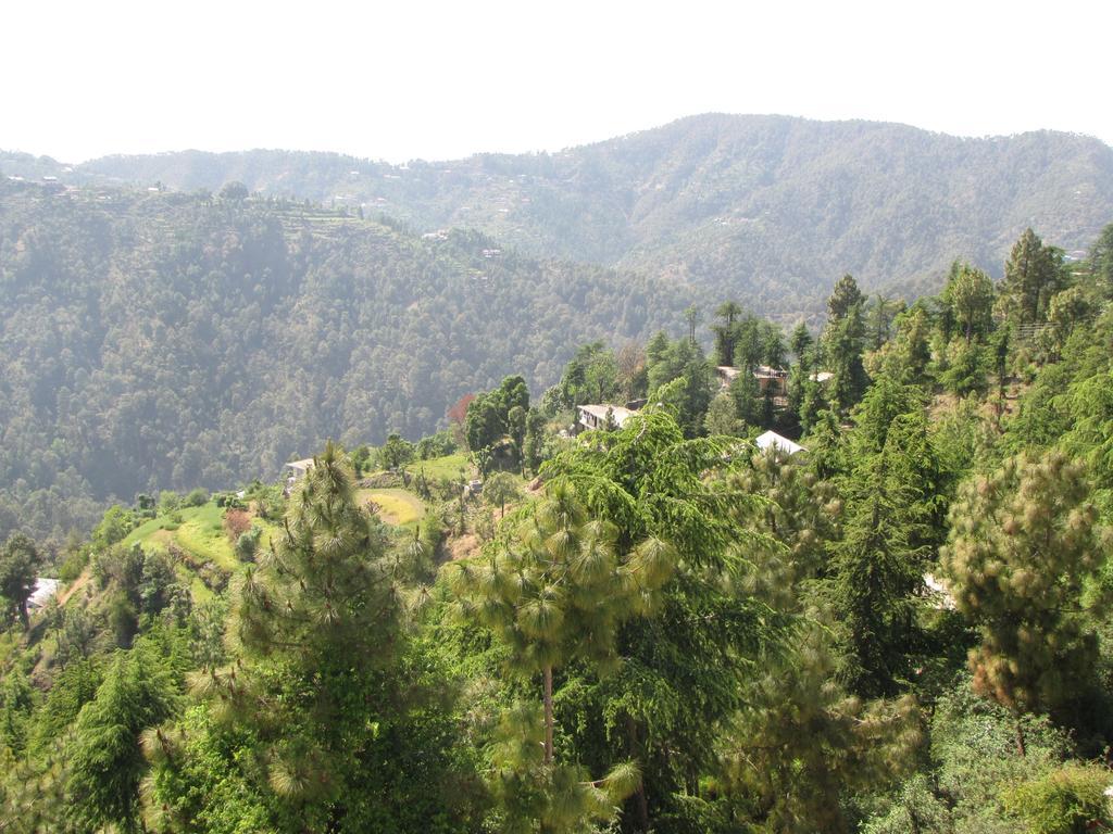 Shimla Nature Ville Exterior foto